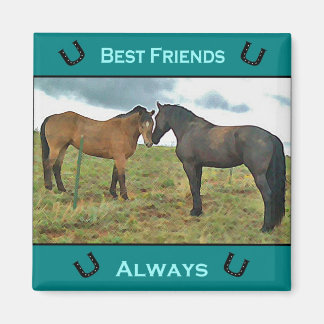 Mejor imán de caballos de Amigo