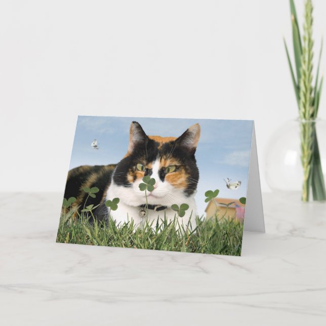 Mejor lindo divertido de la tarjeta del gato del (Anverso)