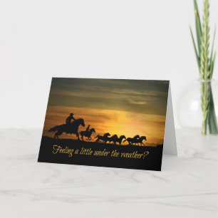 Mejor, Mejor Tarjeta De Moto De Vaquero