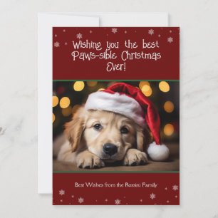 Mejor Navidad visible foto de perro de todos los t