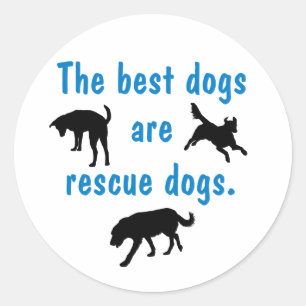 Mejor Pegatina de perros