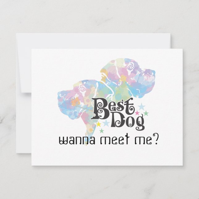 Mejor perro "colorido" (Anverso)