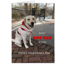 Mejor Perro Papá Valentine Labrador Cute