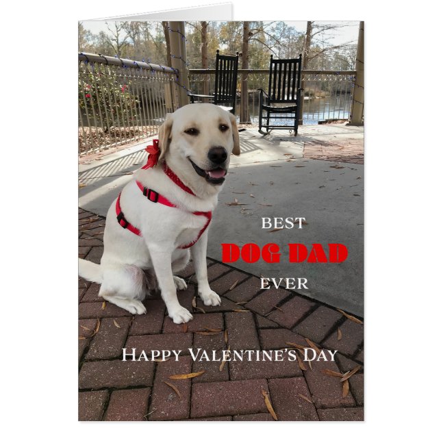 Mejor Perro Papá Valentine Labrador Cute (Frente)