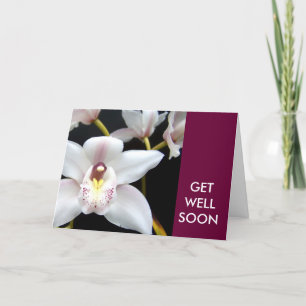 Mejor pronto desea tarjeta de orquídea blanca