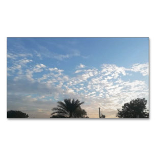 Mejor Tarjeta de Perfil Magnético