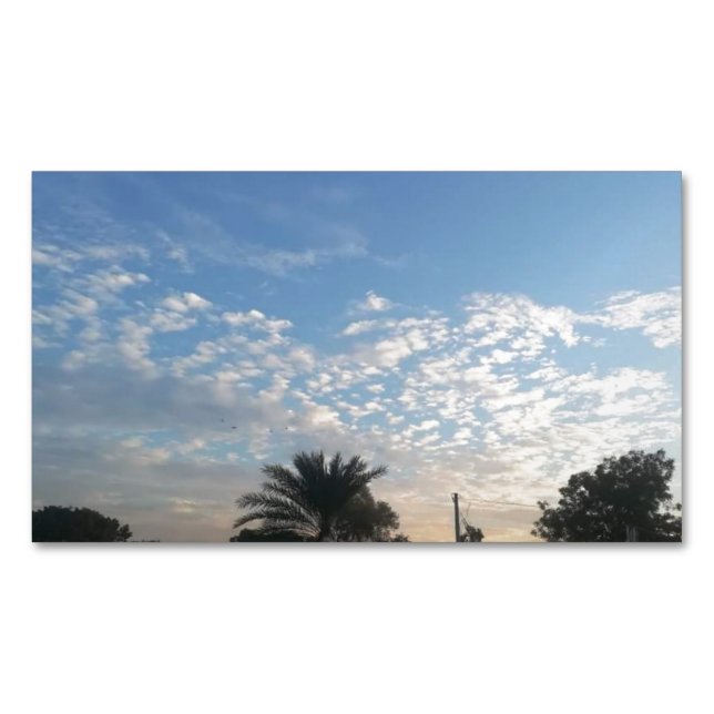 Mejor Tarjeta de Perfil Magnético (Anverso)