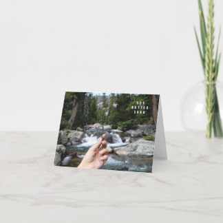 Mejor Tarjeta Pronto