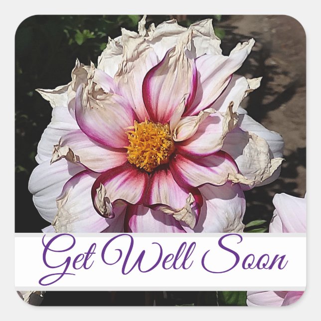 Mejórate pronto Dahlia Edge of Joy #1 Pegatinas (Anverso)