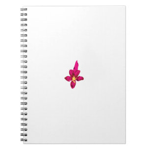 Mejores Cuadernos Espiral para Uso Escolar y de Of