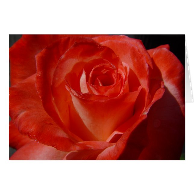 mejores tomas 016 (Anverso (Horizontal))