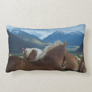 Melenas y almohada de las montañas
