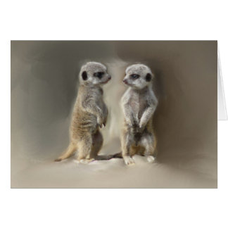 Mellitus de Meerkat