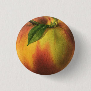 Melocotón pequeño, 1 botón redondo de la pulgad