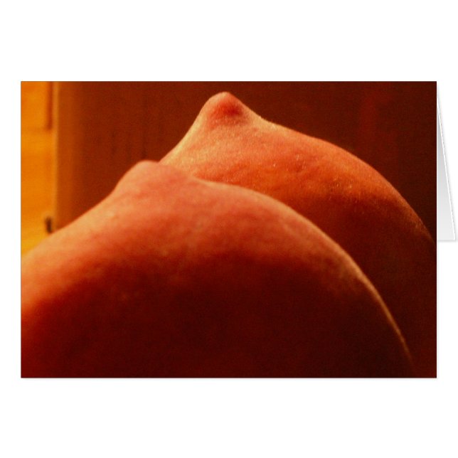 melocotones frescos del verano (Anverso (Horizontal))