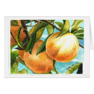 Melocotones listos para ser desplumado