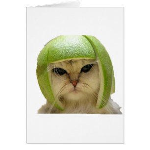 melón