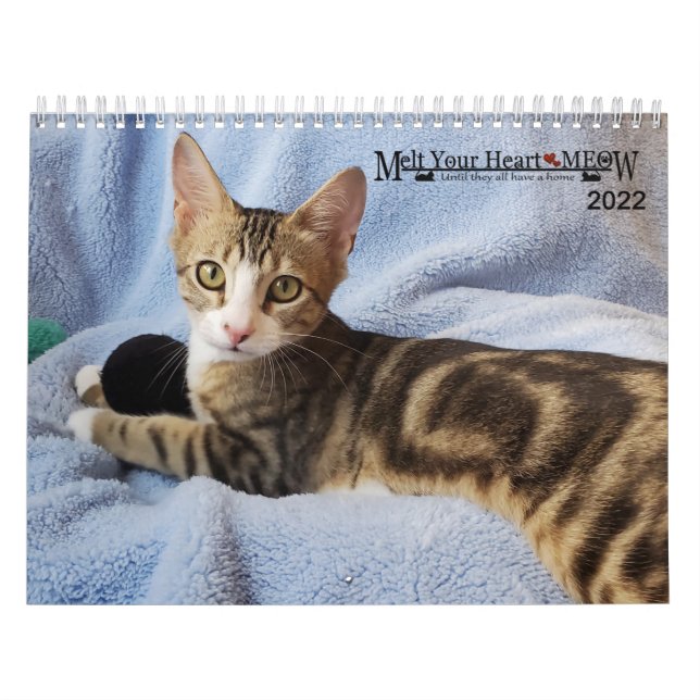 Melt Your Heart - Calendario de gatitos de 2022 (Tapa)