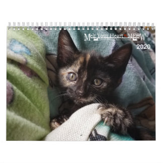 Melt Your Heart - Calendario de gatitos MEOW 2020