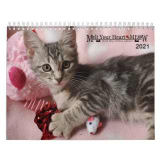 Melt Your Heart - Calendario de gatitos MEOW 2021