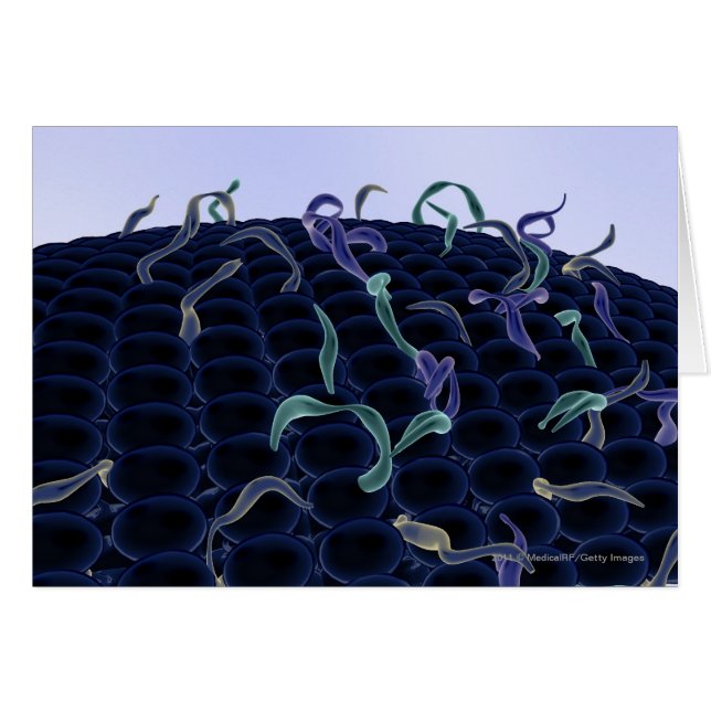Membrana celular magnificada (Anverso (Horizontal))