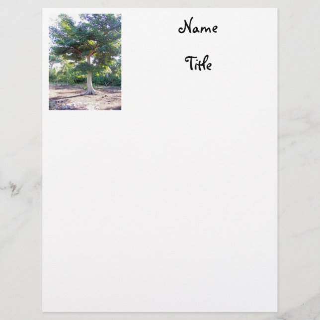 Membrete Árbol de sabios-membrete (Anverso)