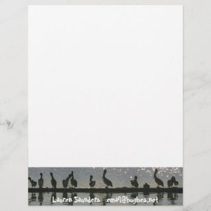 Membrete Aves Pelícanas Animales de Vida Silvestre