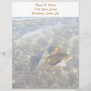 Membrete Cabezal de la serie OBX Stingray de Cownose