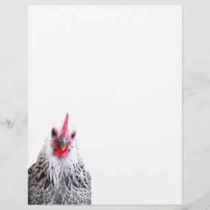 Membrete Cute Bantam Cochin Hen Photo Letterhead Paper