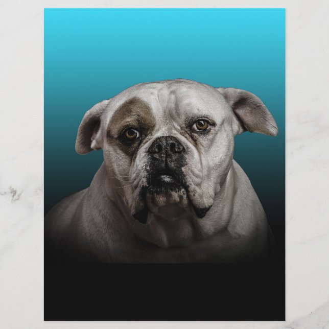 Membrete Cute Boxer Dog con fondo de degradado negro azul (Anverso)