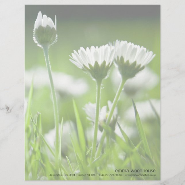 Membrete Daisies (Anverso)