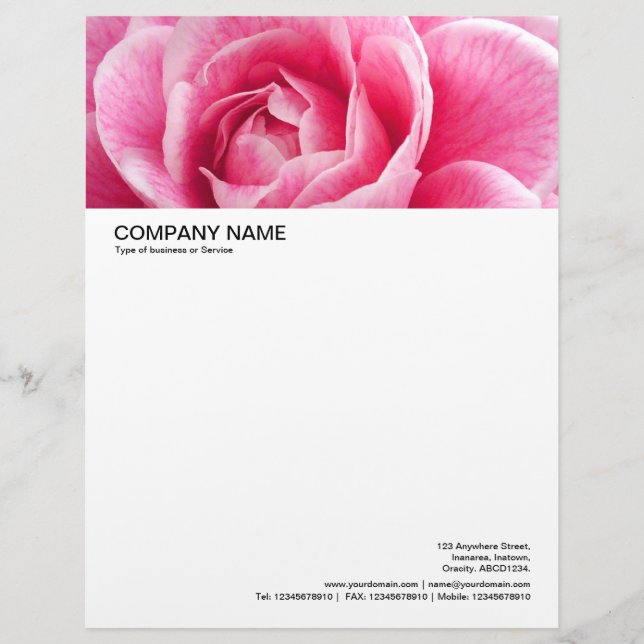 Membrete Encabezado de imagen grande - Camelia rosa (Anverso)