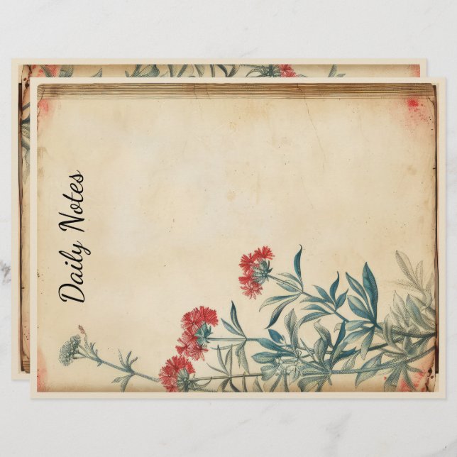 Membrete Episcopía de ilustracion floral de Yarrow (Anverso / Reverso)