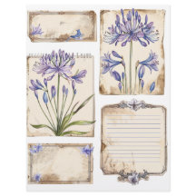 Flor de agapanthus Fussy Cut Ephemera