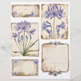 Membrete Flor de agapanthus Fussy Cut Ephemera