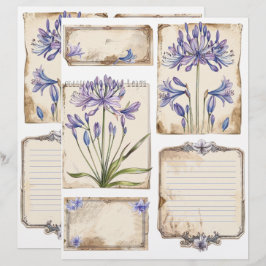 Membrete Flor de agapanthus Fussy Cut Ephemera