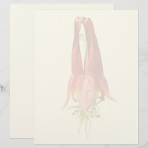 Membrete Flor de Aquilegia Roja