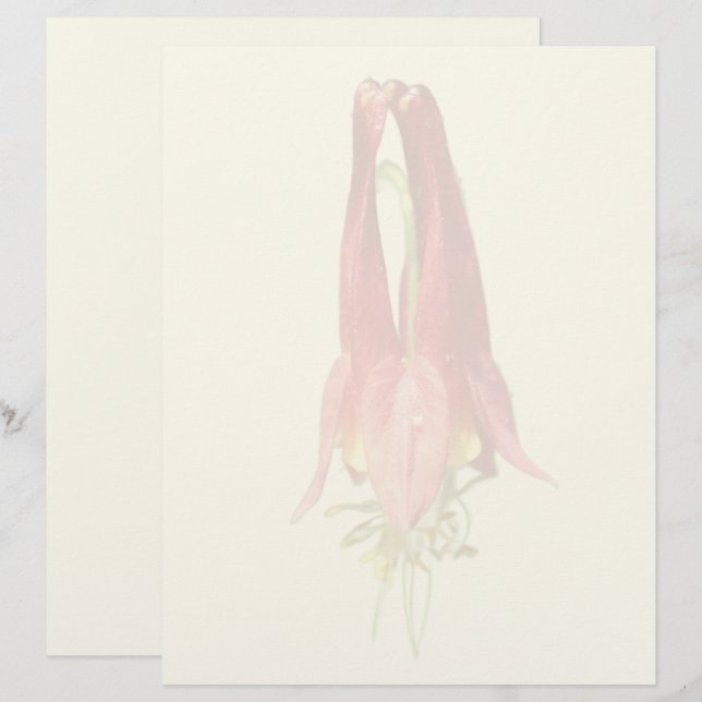 Membrete Flor de Aquilegia Roja (Anverso / Reverso)