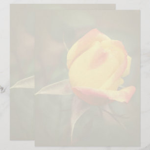 Membrete Flor de capullo de rosa amarilla