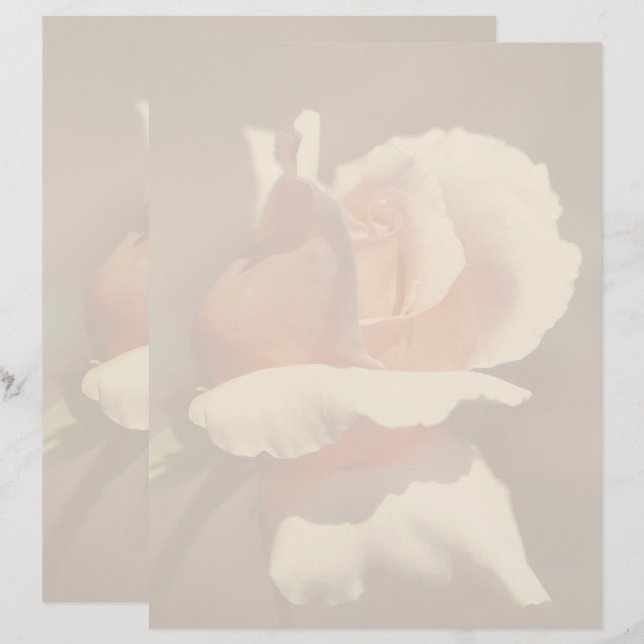 Membrete Flor de Capullo de Rosa Melocotón (Anverso / Reverso)
