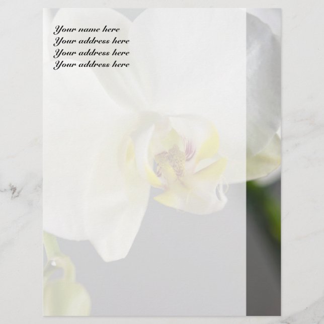 Membrete Flor de orquídea blanca (Anverso)