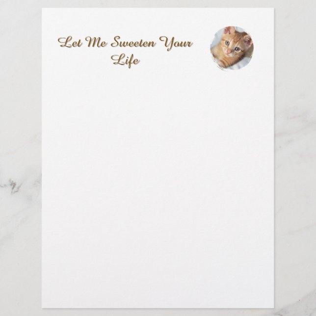 Membrete Foto de gato dulce con texto reemplazable, membret (Anverso)