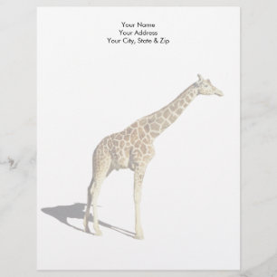 Membrete Giraffe