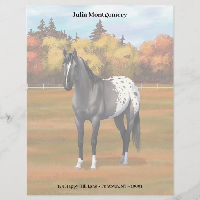 Membrete Gray Grulla Appaloosa Quarter Stallion (Anverso)