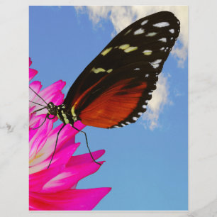 Membrete Heliconio eclipsa mariposa en la Dahlia rosa