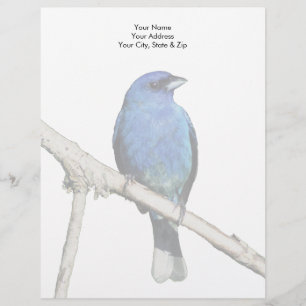 Membrete Indigo Bunting