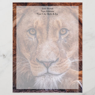 Membrete León africano