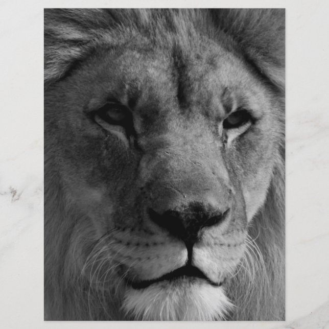 Membrete León blanco y negro (Anverso)