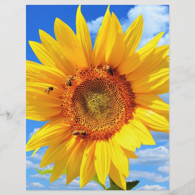 Membrete Leterhead de verano de girasol amarillo y abejas (Reverso)