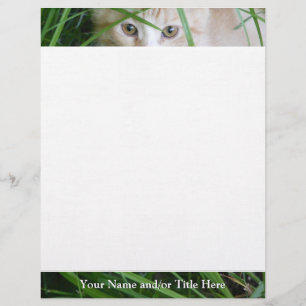 Membrete Letterhead Kitten Gaze